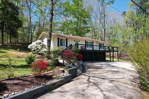 Photo of 539 Apollo Drive, Spring City, TN 37381 (MLS # 1504986)