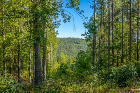 Vacant Land For Sale - Split Rail Way<br/> Guild, TN 37340