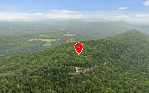 Photo of 1075 Acres Riggs Chapel Road, Harriman, TN 37748 (MLS # 1519485)