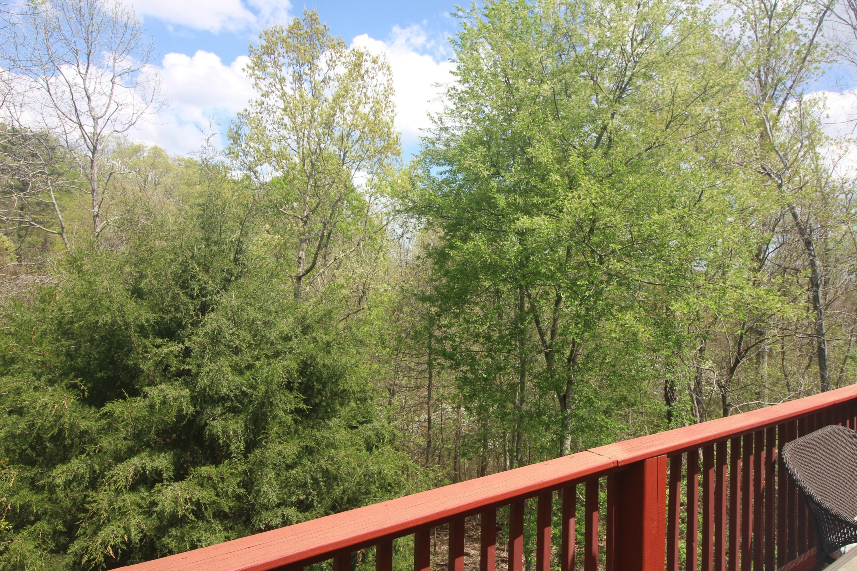 5553 Jonquil Lane, Ooltewah, Tennessee image 5