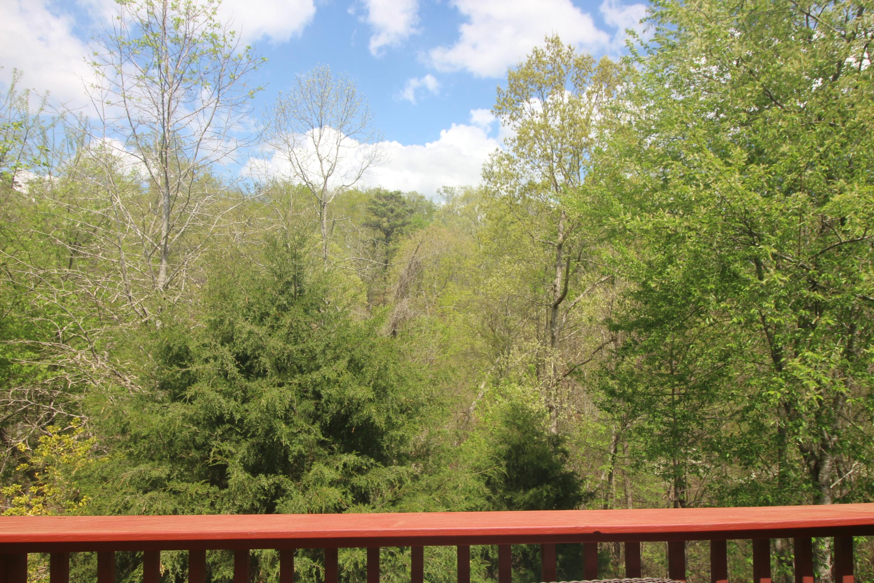 5553 Jonquil Lane, Ooltewah, Tennessee image 6
