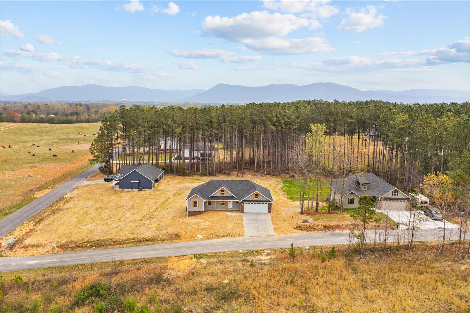 288 Flag Way, Chatsworth, Georgia image 46