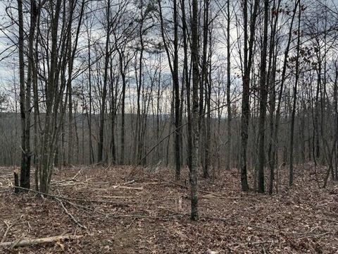 Vacant Land For Sale - TRACT 11 South Pittsburg Mountain Road<br/> South Pittsburg, TN 37380