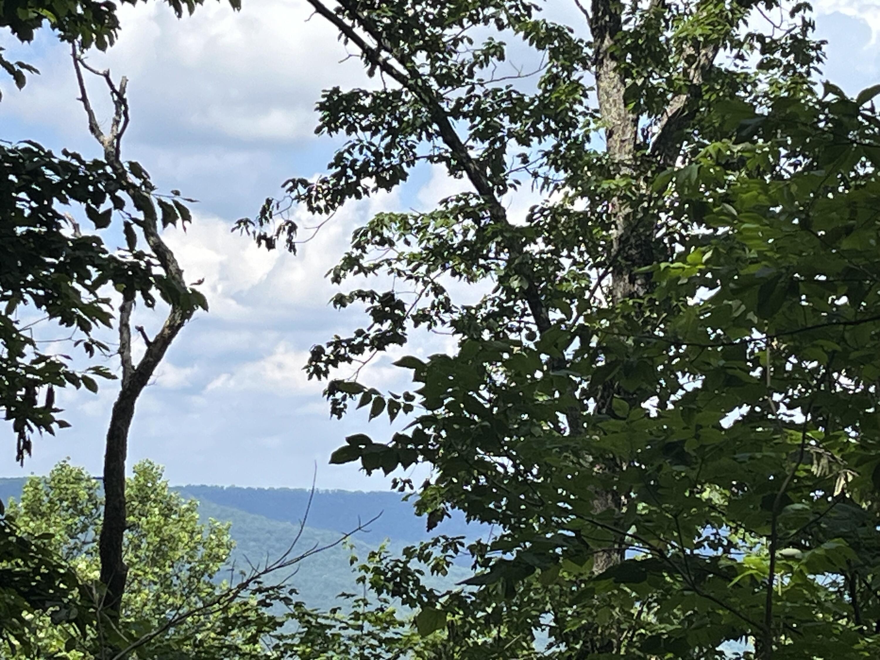 00 Jackson Point Road #16, Sewanee, Tennessee image 6