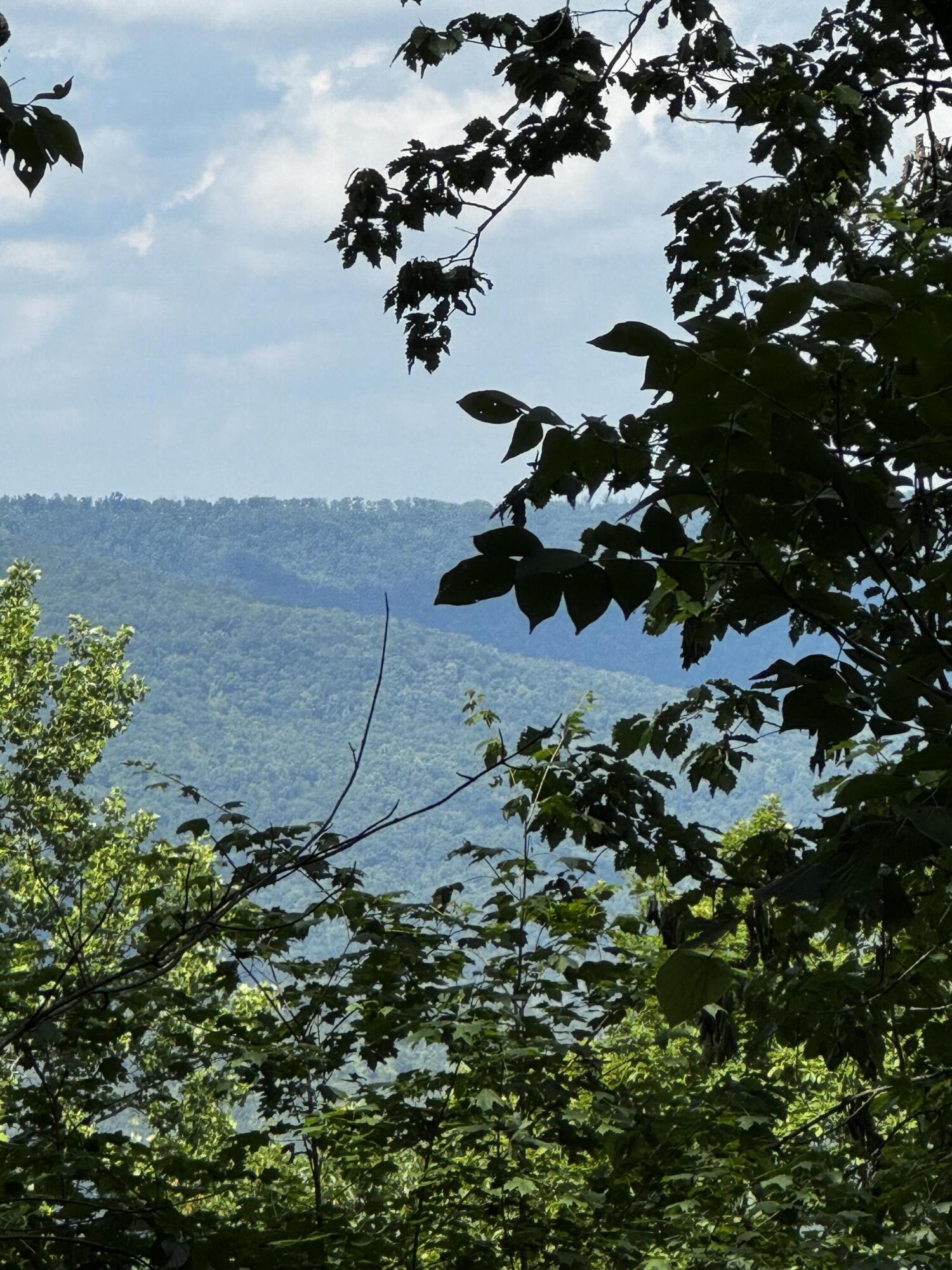 00 Jackson Point Road #16, Sewanee, Tennessee image 2