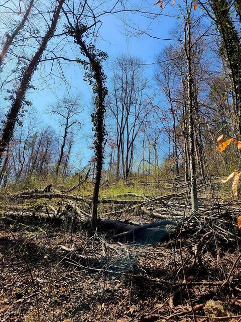 Tiny photo for 8813 Gann Road, Soddy Daisy, TN 37379 (MLS # 1527279)