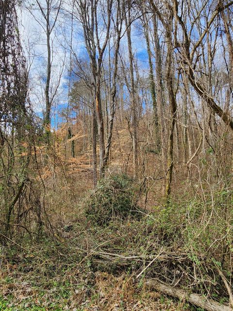 Tiny photo for 8813 Gann Road, Soddy Daisy, TN 37379 (MLS # 1527279)