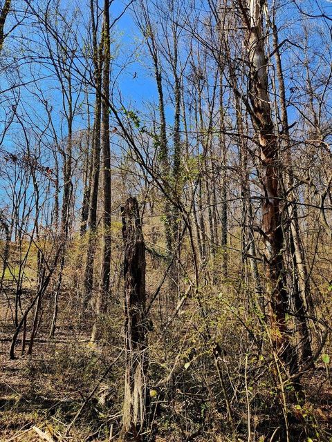 Tiny photo for 8813 Gann Road, Soddy Daisy, TN 37379 (MLS # 1527279)