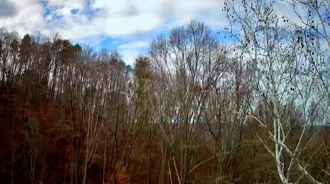 Photo of 8813 Gann Road, Soddy Daisy, TN 37379 (MLS # 1527279)