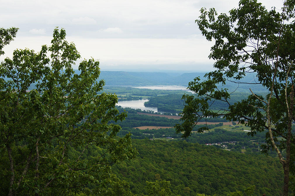 1600 Raulston Falls Road, Jasper, Tennessee image 8