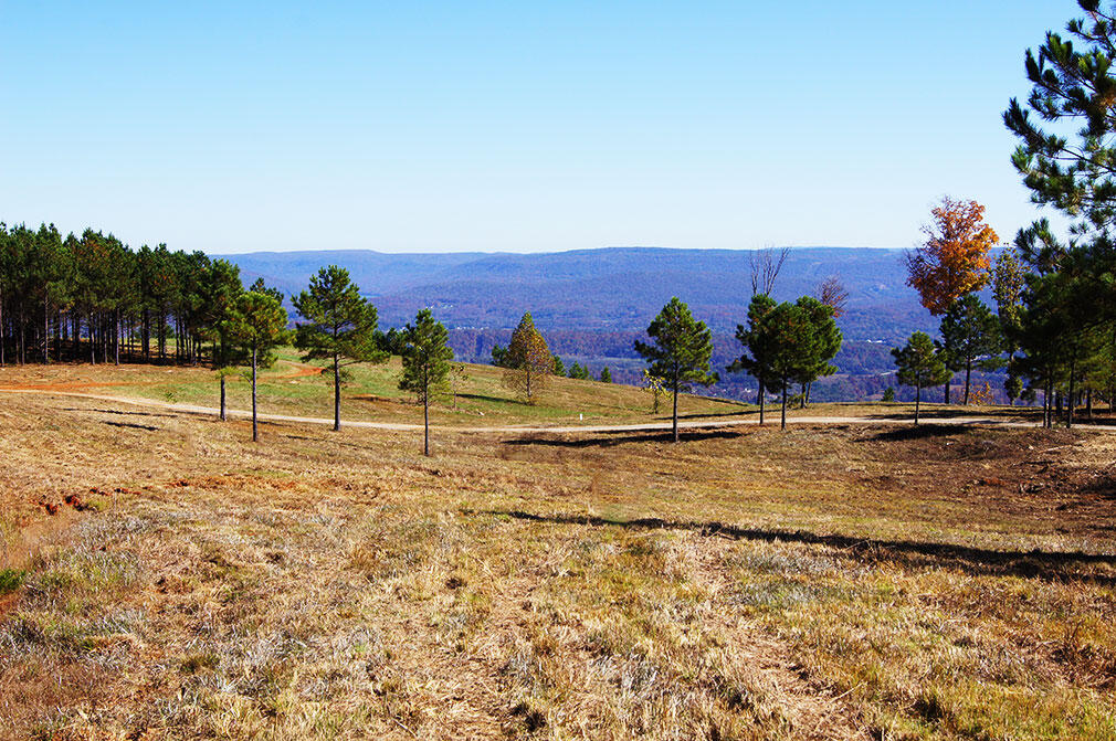 1600 Raulston Falls Road, Jasper, Tennessee image 5