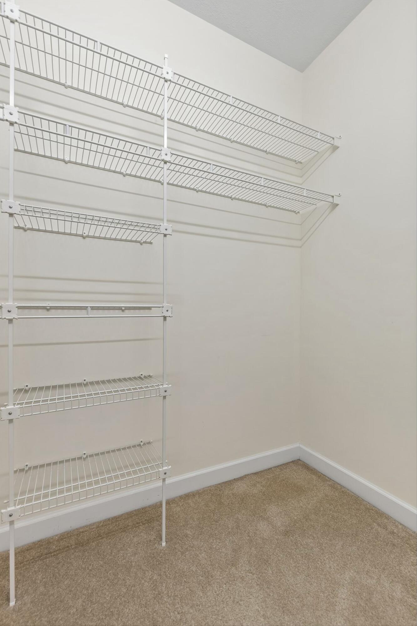 9801 Leslie Sandidge Drive, Ooltewah, Tennessee image 29