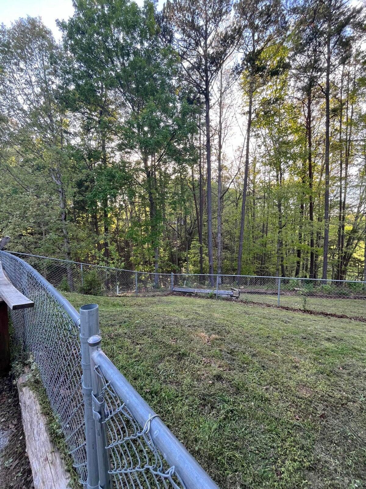 7029 Troy Allen Drive Dr, Harrison, Tennessee image 20