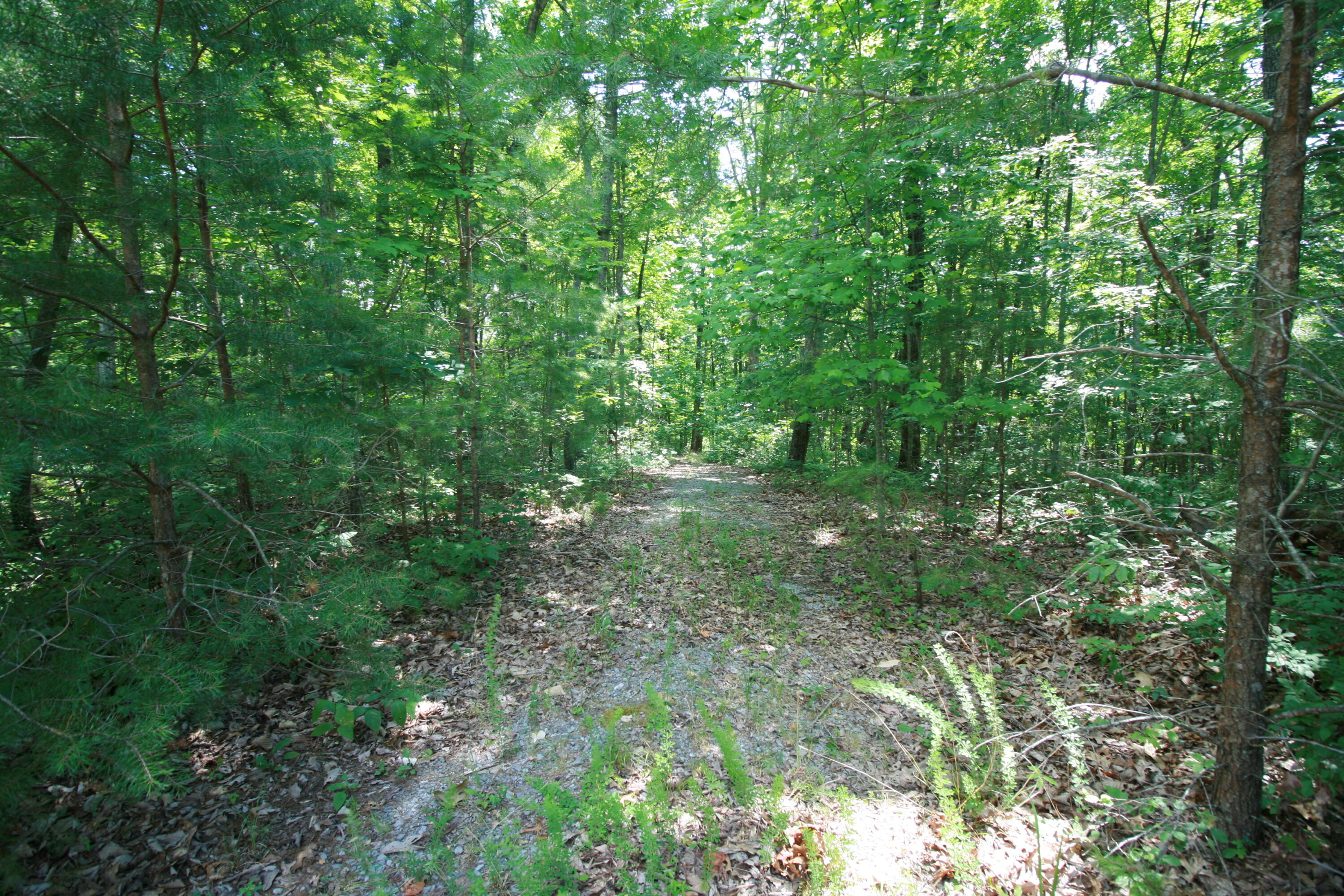 Wilderness Way #548, Dunlap, Tennessee image 1