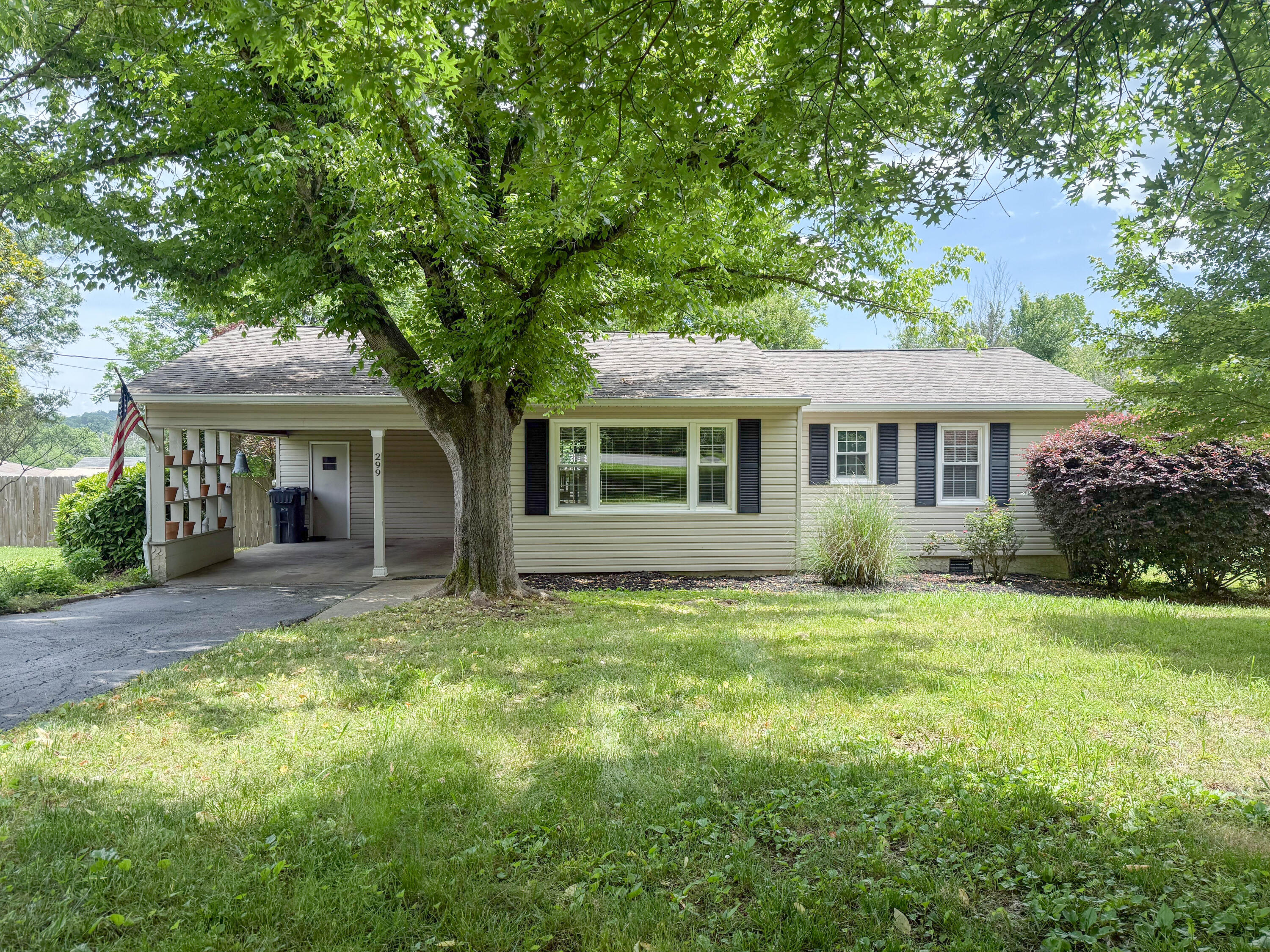 299 John Thompson Road, Flintstone, Georgia image 1