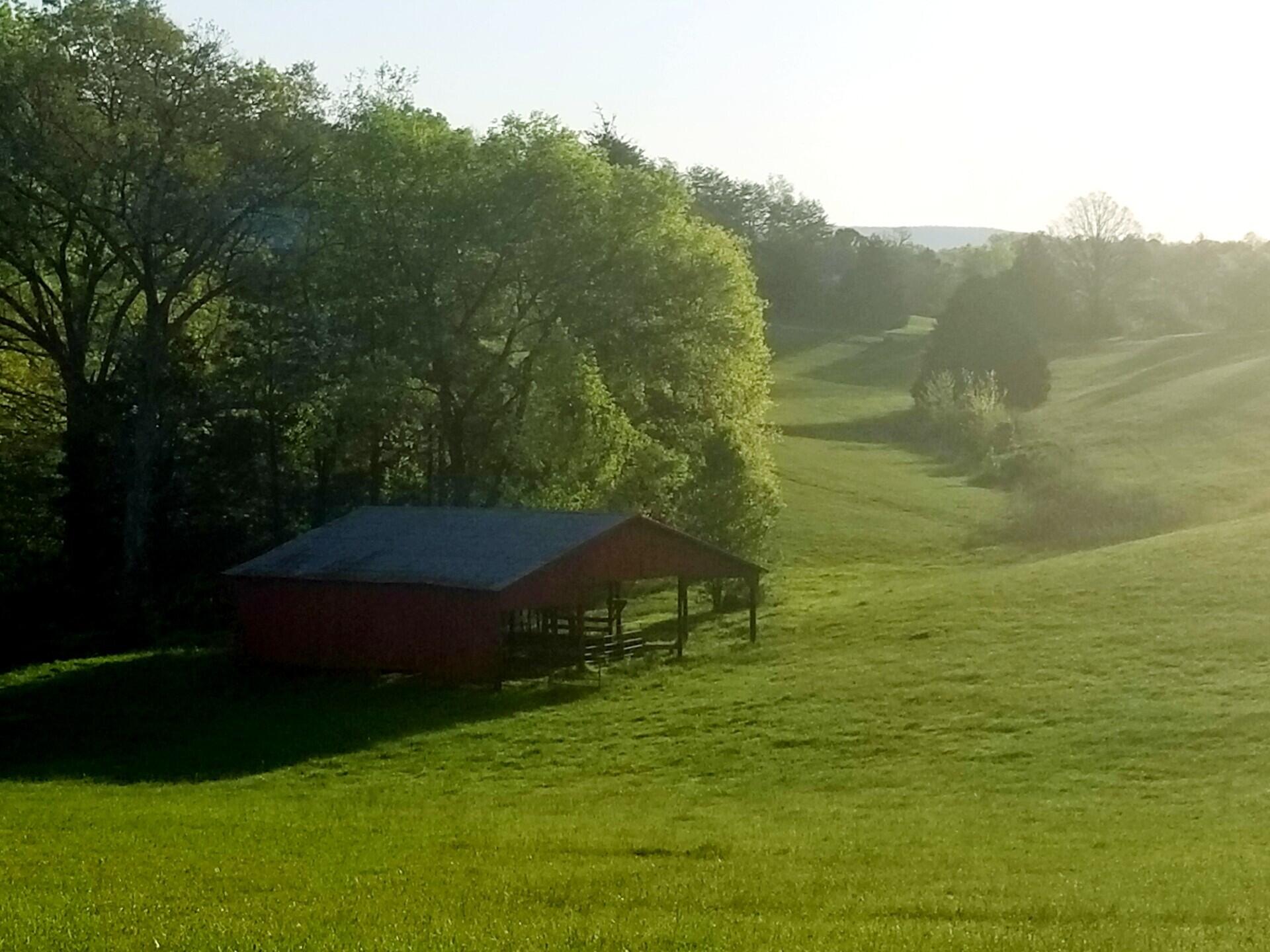 919 John Burch Road, Dunlap, Tennessee image 49