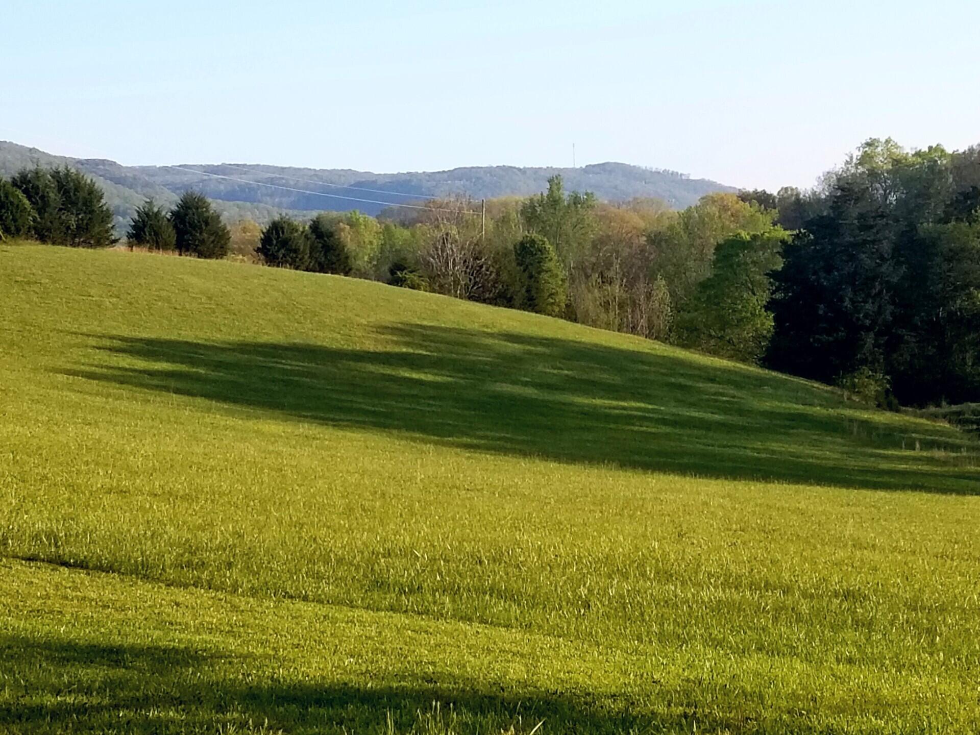 919 John Burch Road, Dunlap, Tennessee image 47