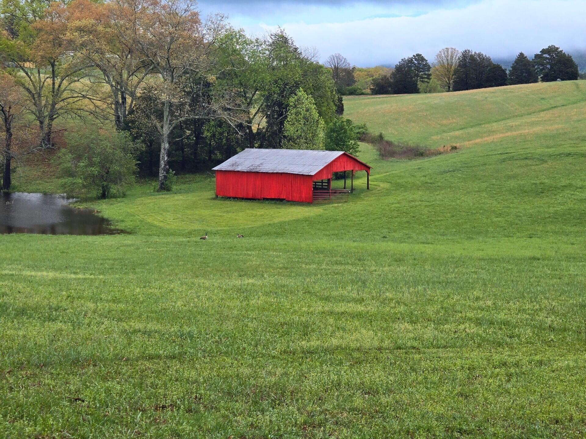919 John Burch Road, Dunlap, Tennessee image 41