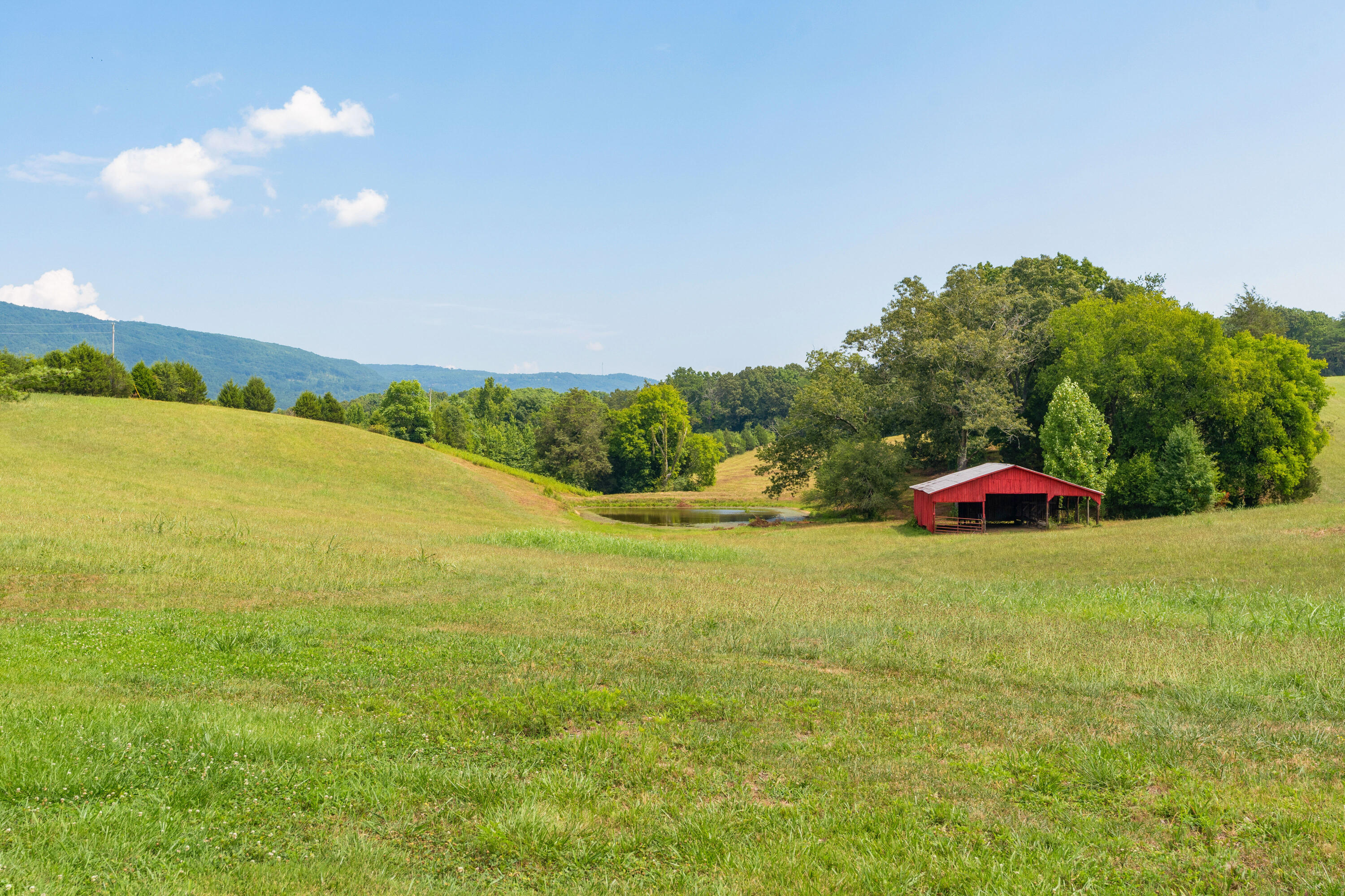 919 John Burch Road, Dunlap, Tennessee image 44
