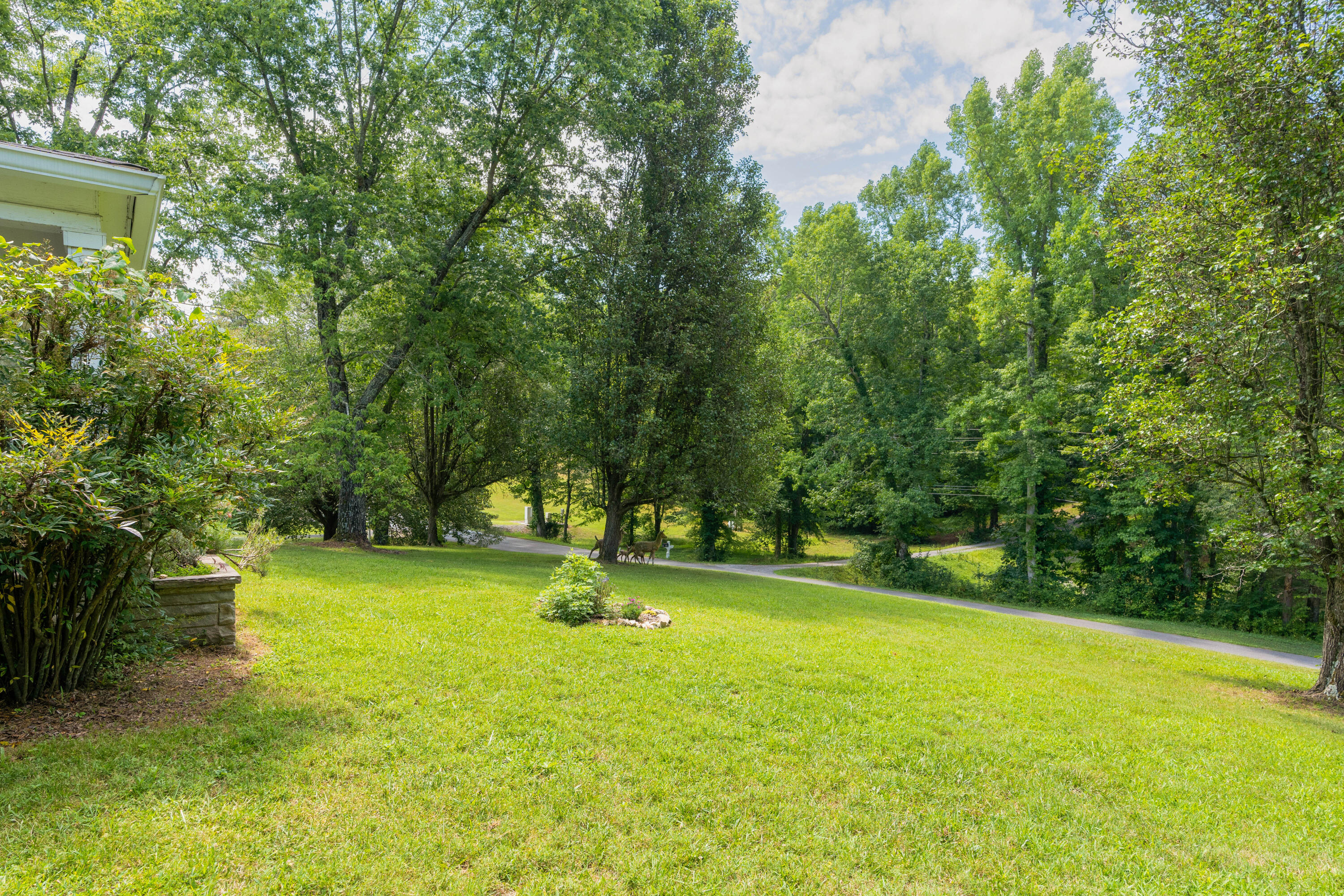 919 John Burch Road, Dunlap, Tennessee image 11