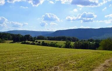 919 John Burch Road, Dunlap, Tennessee image 39