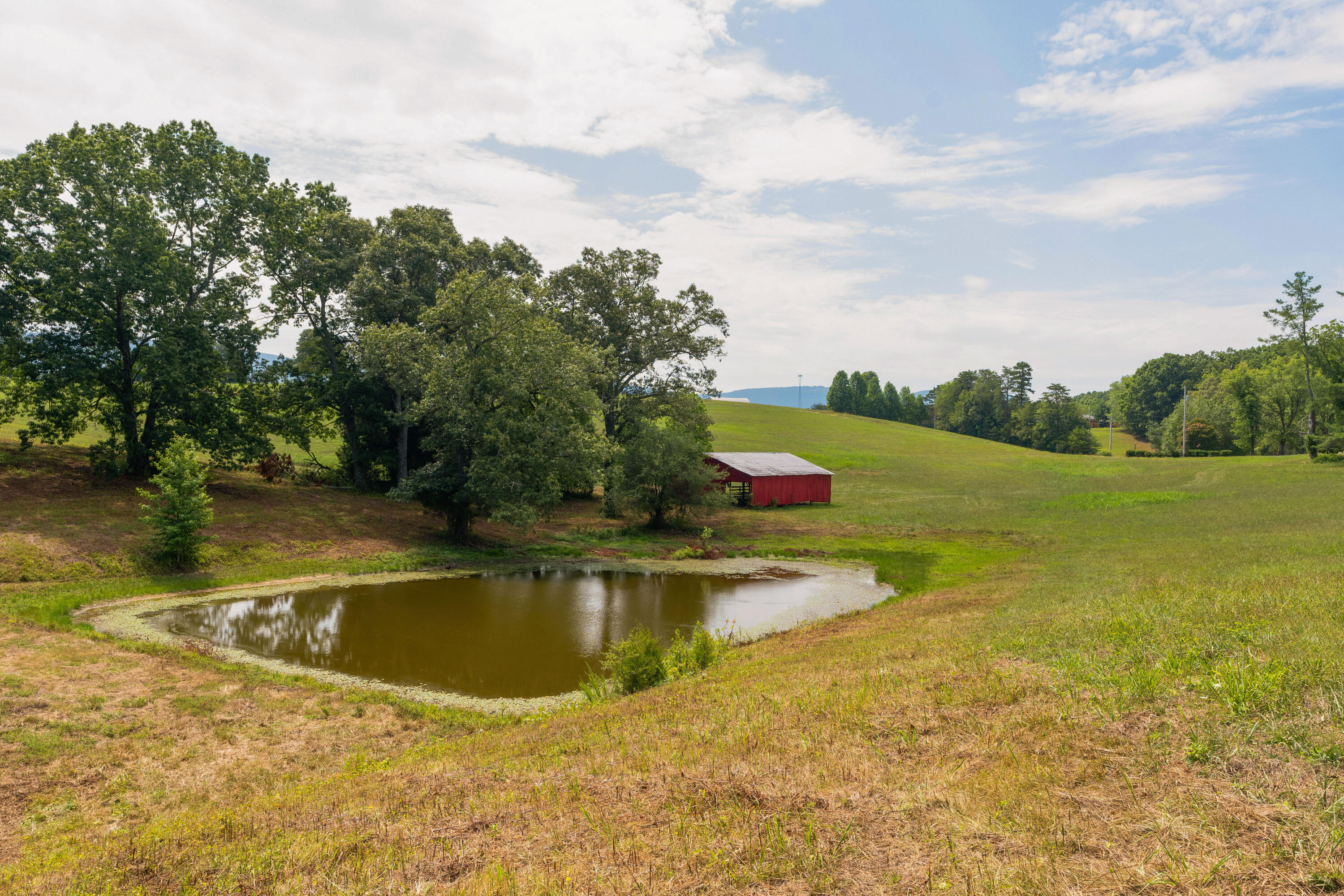 919 John Burch Road, Dunlap, Tennessee image 49
