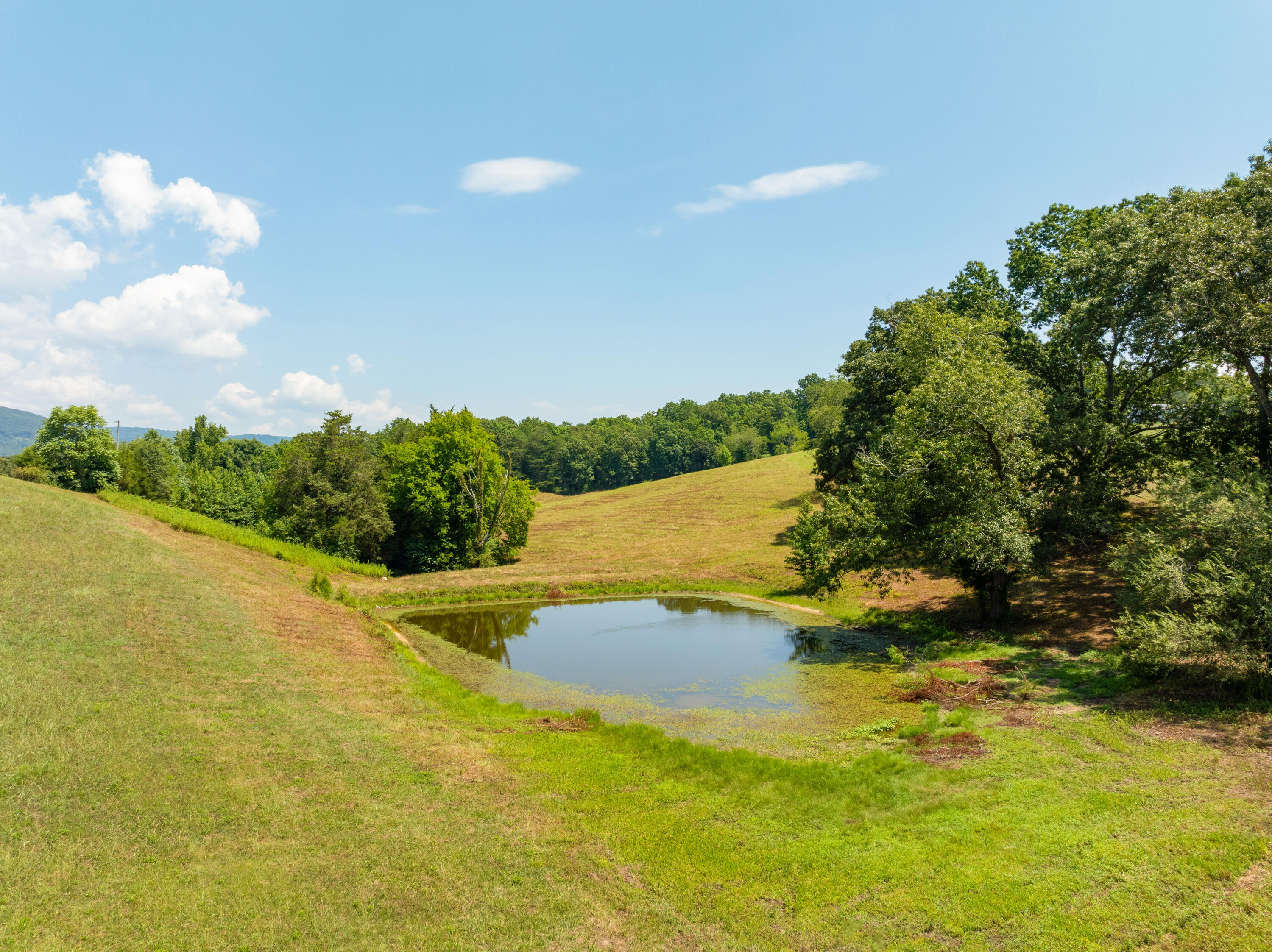 919 John Burch Road, Dunlap, Tennessee image 47