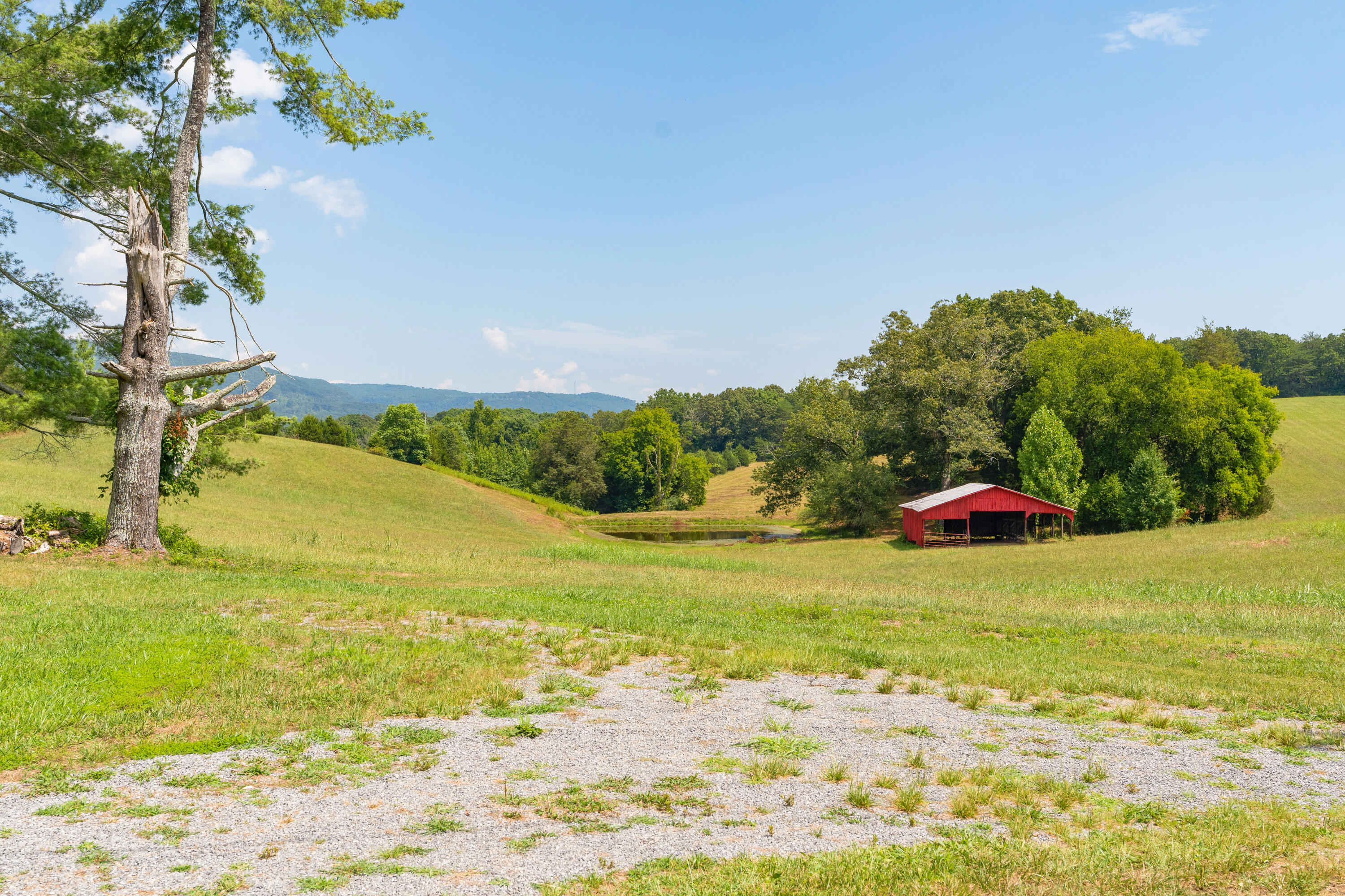 919 John Burch Road, Dunlap, Tennessee image 43