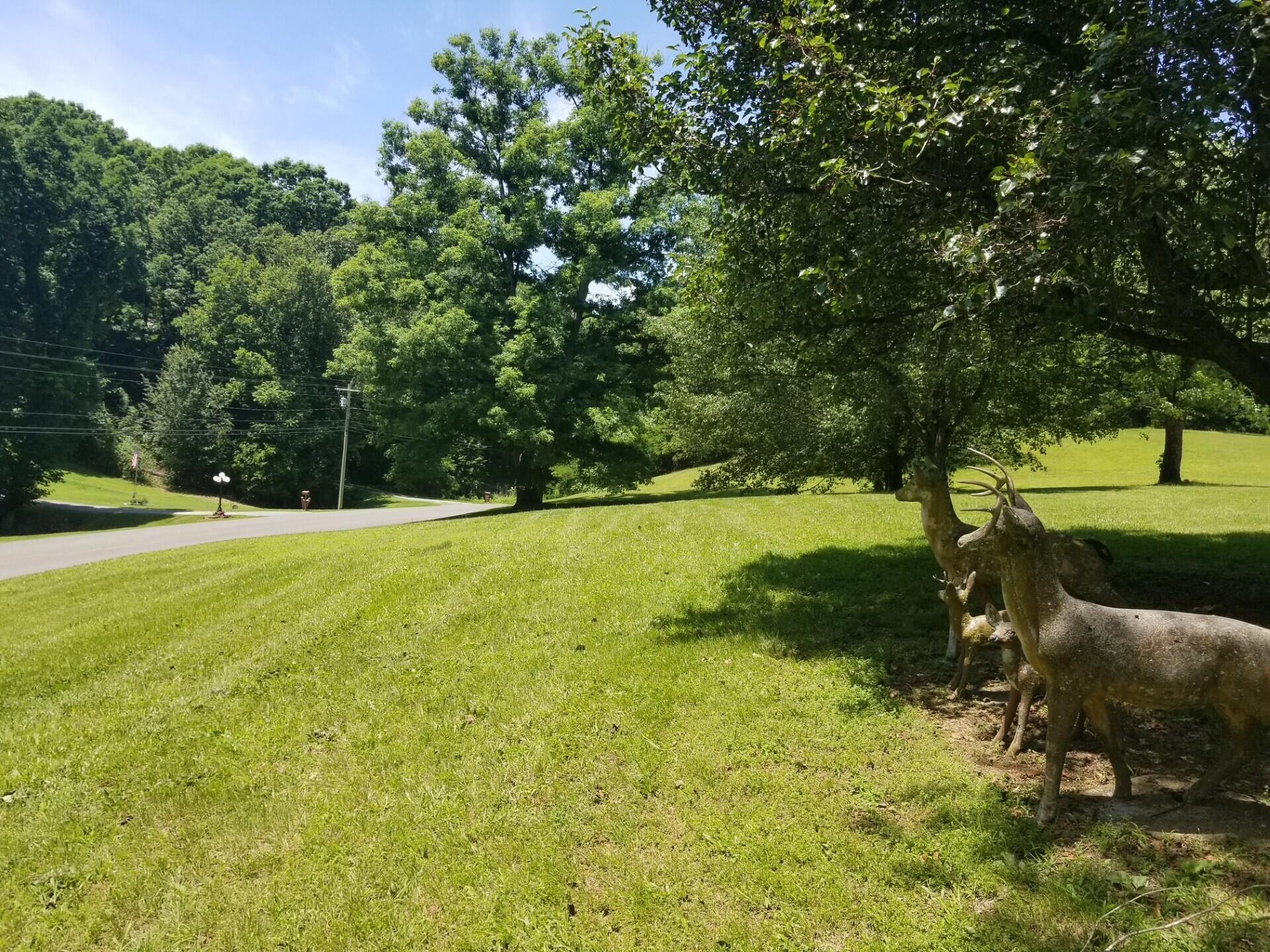 919 John Burch Road, Dunlap, Tennessee image 7