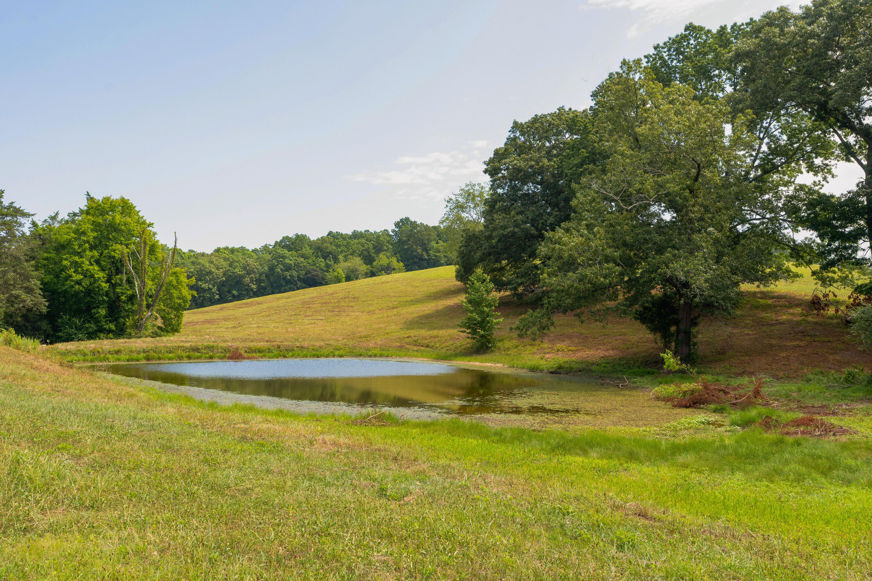 919 John Burch Road, Dunlap, Tennessee image 48