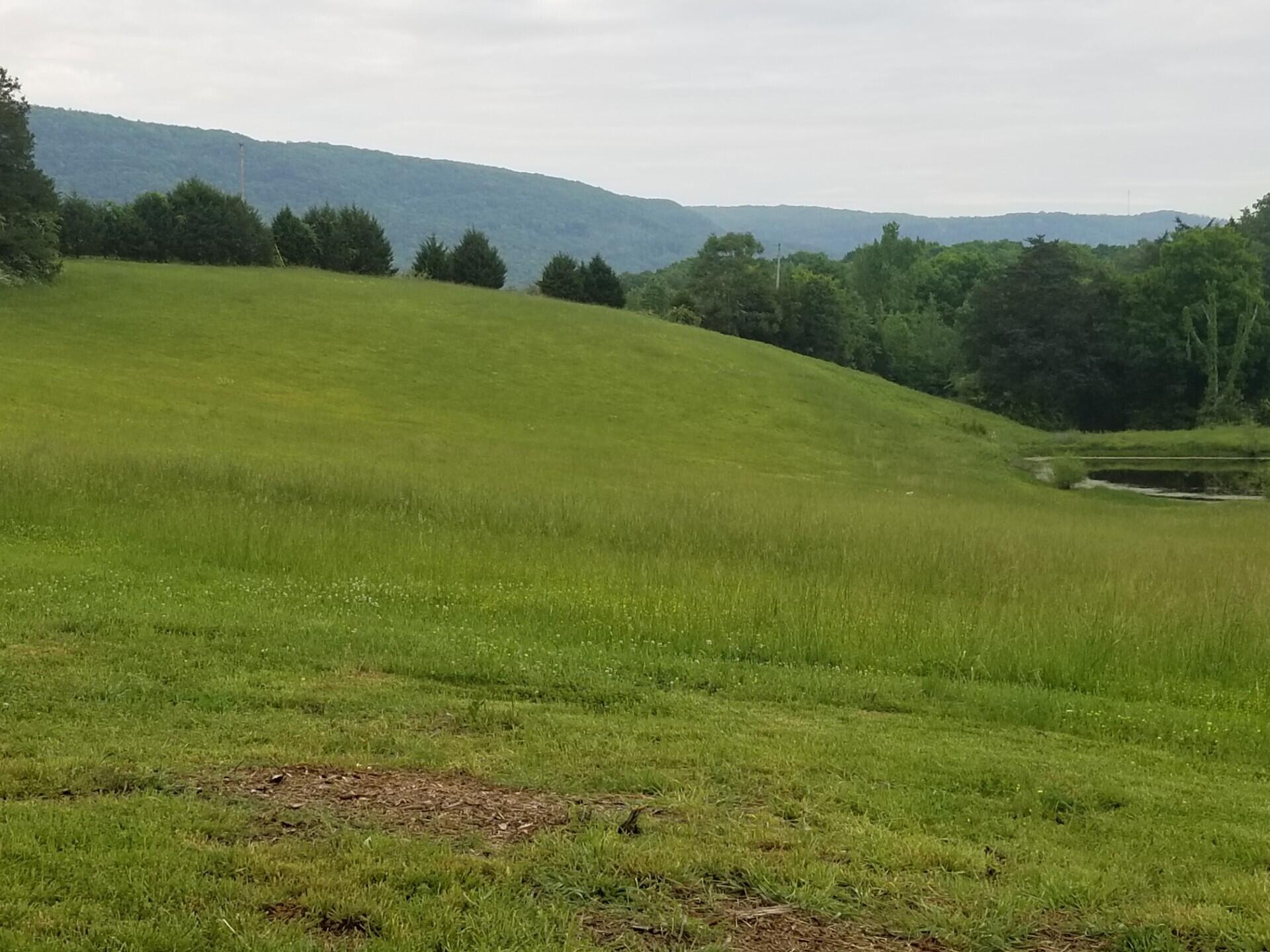 919 John Burch Road, Dunlap, Tennessee image 50