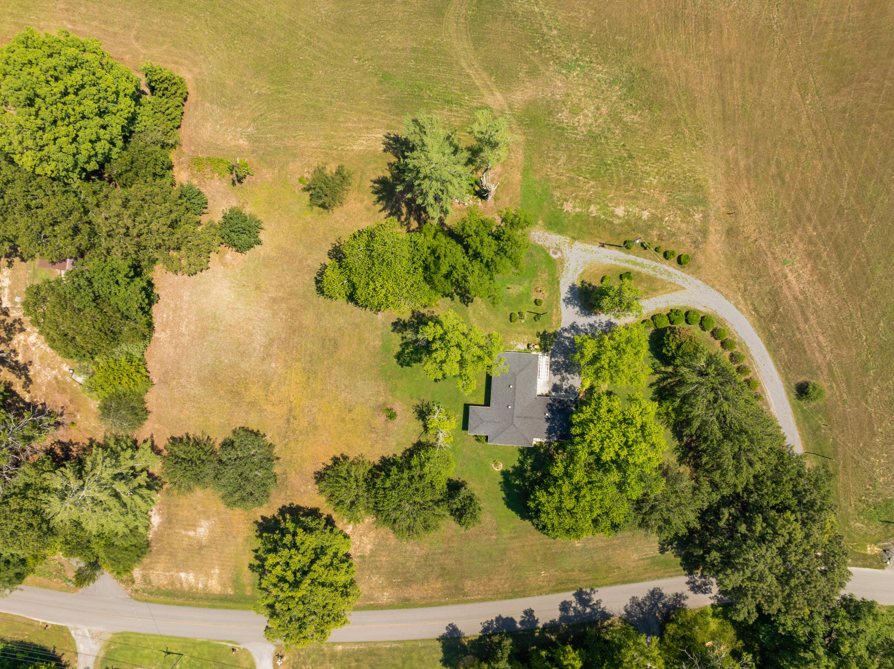 919 John Burch Road, Dunlap, Tennessee image 5