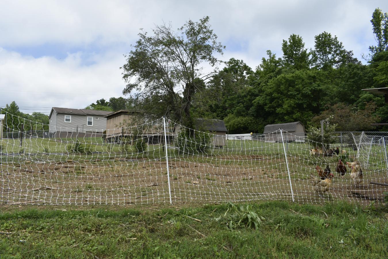 40 East Avenue, Rossville, Georgia image 35
