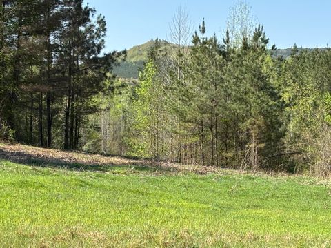 Vacant Land For Sale - 108 Leggett Road<br/> Hamilton County, Sale Creek, TN 37373