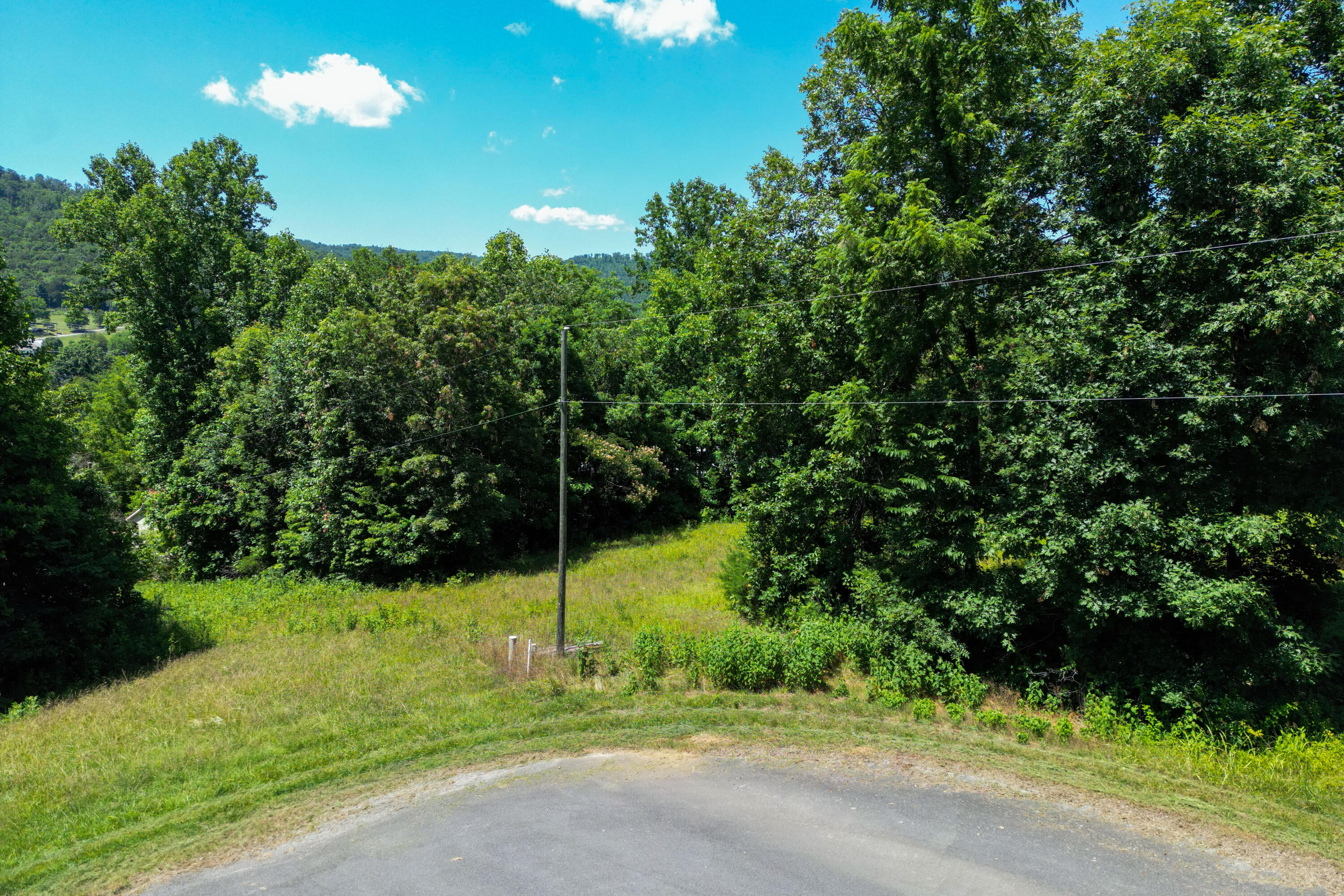 Trenton, Georgia 30752, United States, ,Land,Active,44602