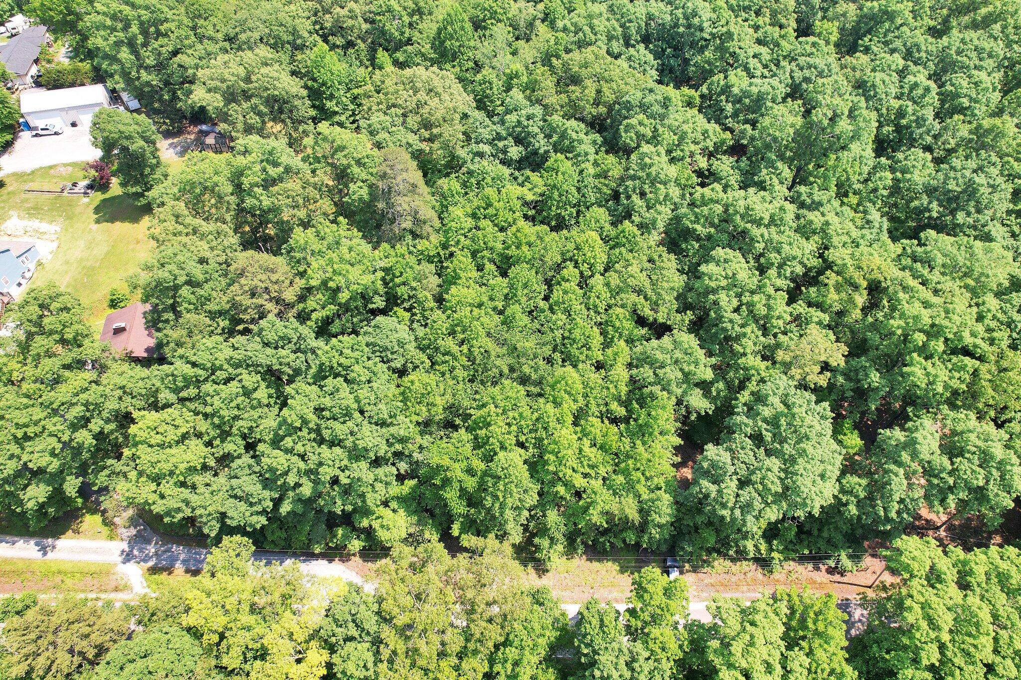 4019 Lee Pike, Soddy Daisy, Tennessee image 4