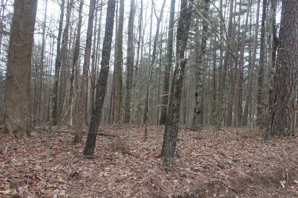 22 MCGREGOR LN, MORRISON, TN 37357 - Image dcf249b85cac52b8a39ccdcf47114e2d/3363968611