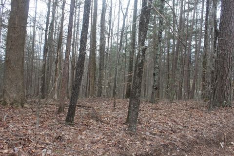 Vacant Land For Sale - 00 Mcgregor Lane<br/> Warren County County, McMinnville, TN 37110