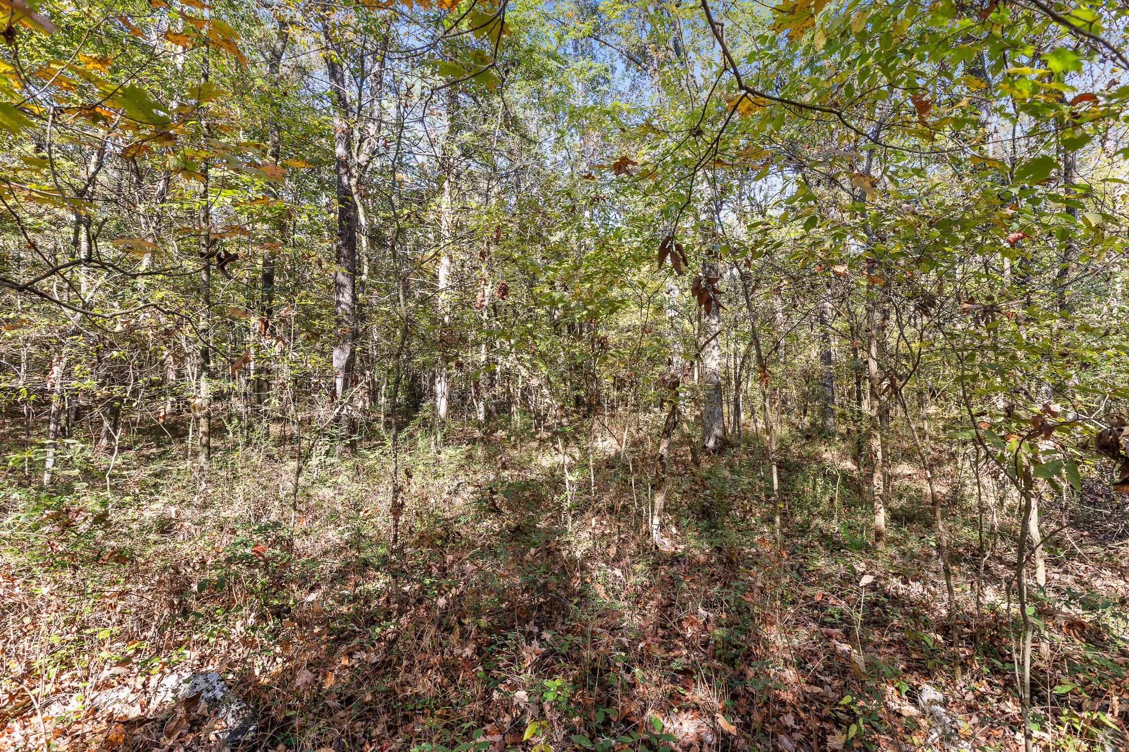 327 Starr Hawk Lane, Chickamauga, Georgia image 5