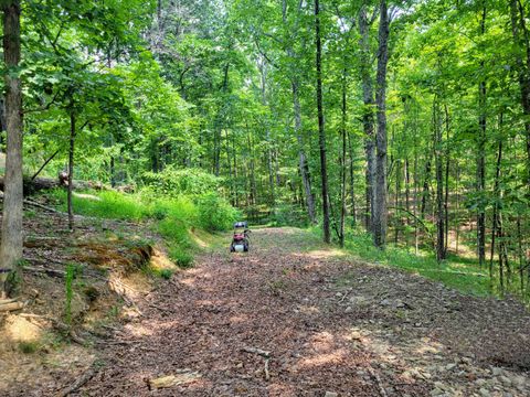 Photo of 235 Awanita Drive, South Pittsburg, TN 37380 (MLS # 1525325)