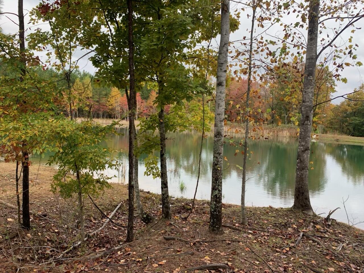 464 Moonlight Lane #JF-440, Jasper, Tennessee image 2
