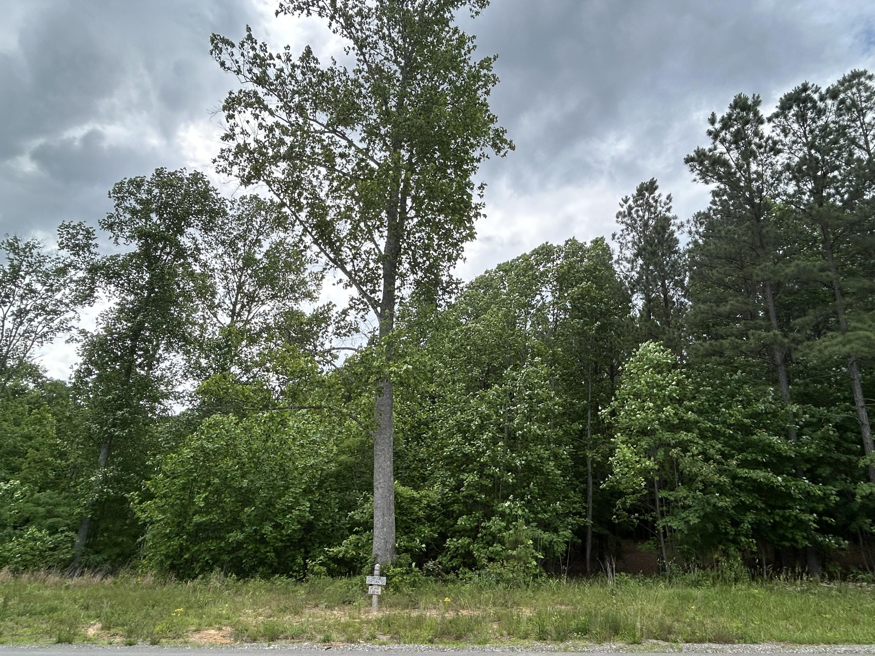 464 Moonlight Lane #JF-440, Jasper, Tennessee image 9