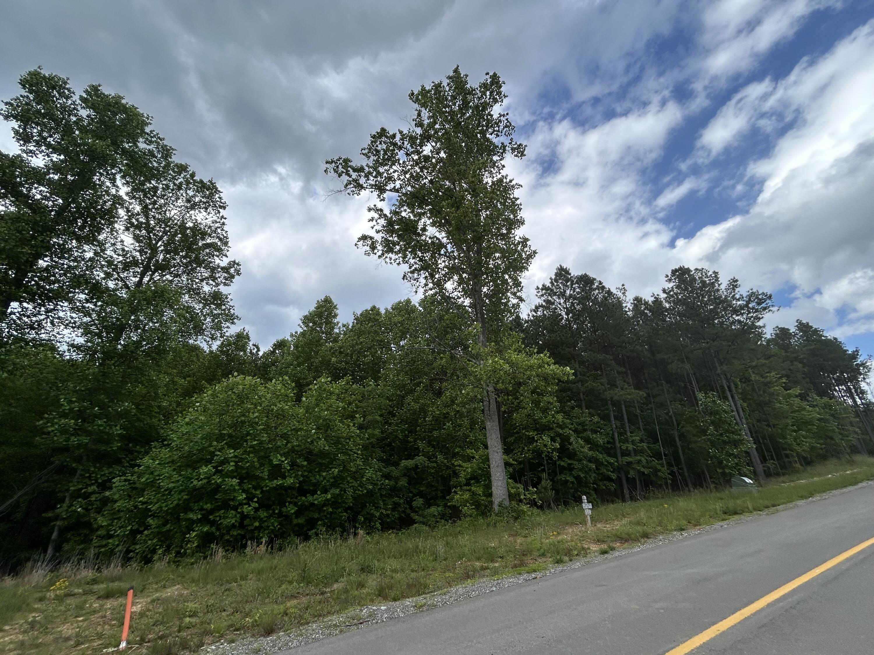 464 Moonlight Lane #JF-440, Jasper, Tennessee image 11