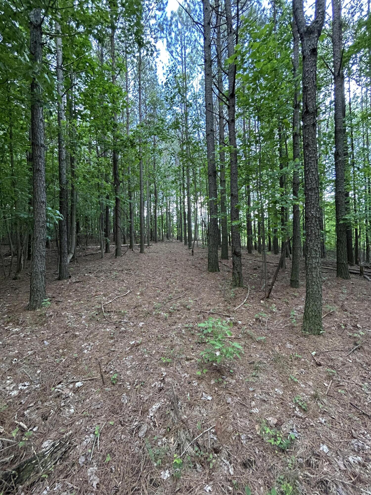 464 Moonlight Lane #JF-440, Jasper, Tennessee image 3
