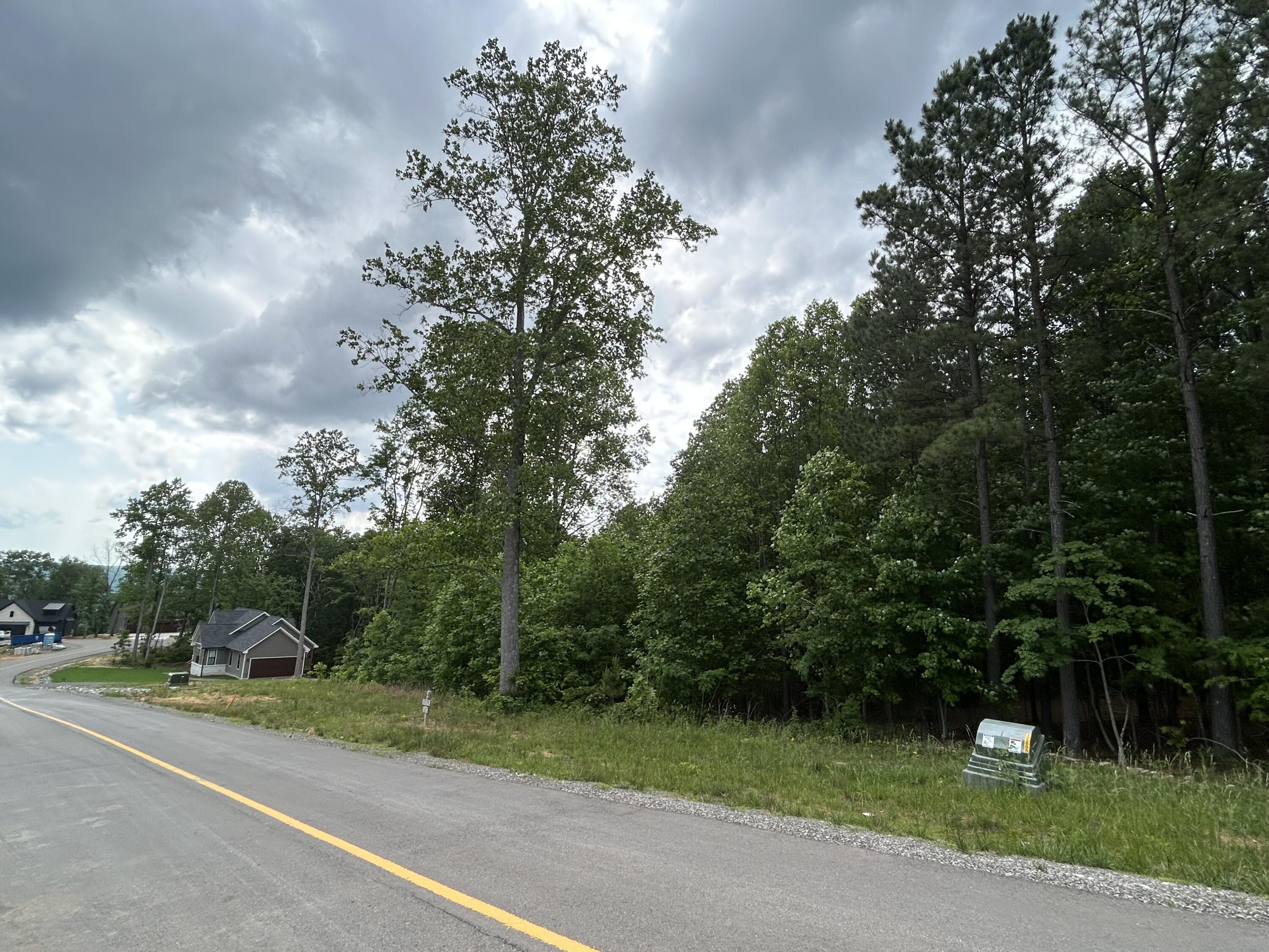 464 Moonlight Lane #JF-440, Jasper, Tennessee image 10