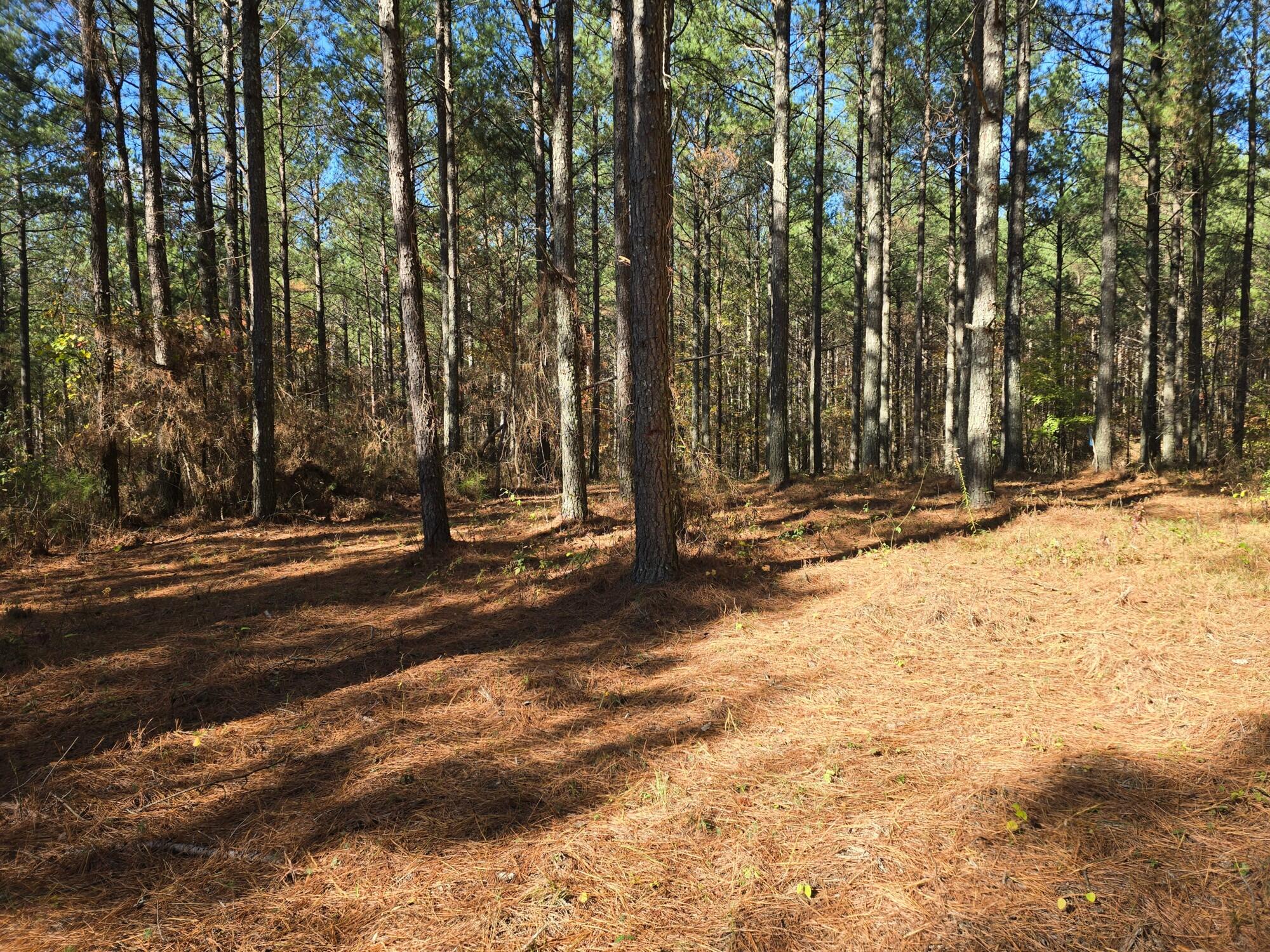 00 Melody Dr, Guild, Tennessee image 4