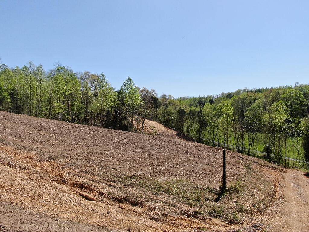 10688 Back Piney Road, Bon Aqua, Tennessee image 9