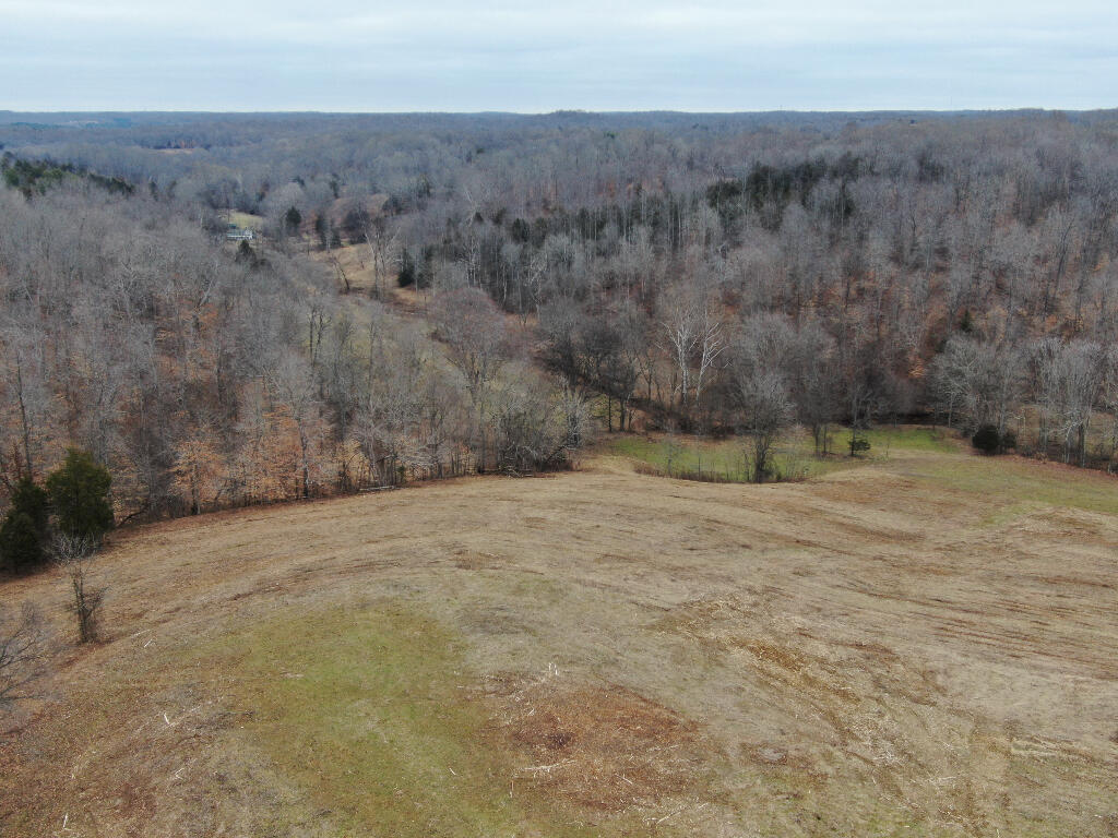 10688 Back Piney Road, Bon Aqua, Tennessee image 16