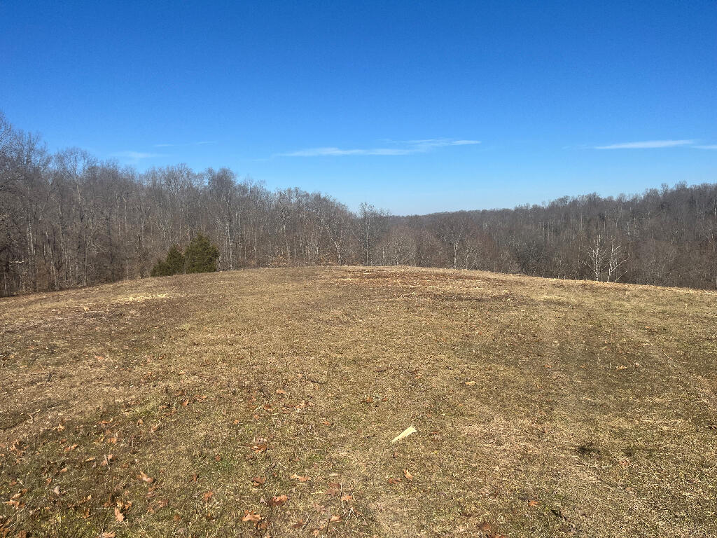 10688 Back Piney Road, Bon Aqua, Tennessee image 6