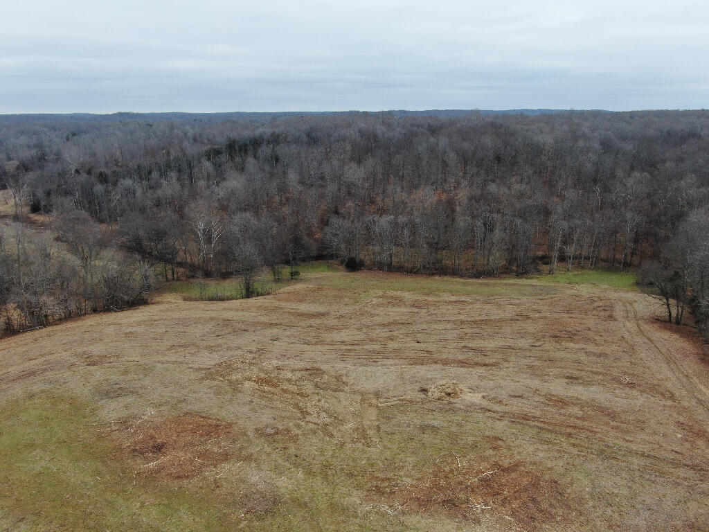 10688 Back Piney Road, Bon Aqua, Tennessee image 3